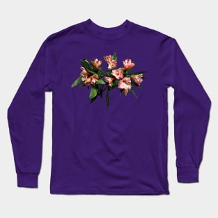 Lilies - Asiatic Lilies and Leaves Long Sleeve T-Shirt